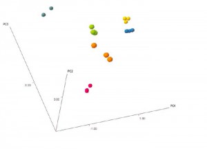 Figure 3: Data fused organic and inorganic markers results in a Scores plot of PC1 v PC2 v PC3, showing complete separation of all the groups of whisky samples. 