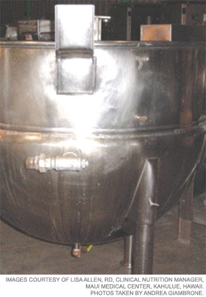 Stainless steel kettles can be cleaned with powder or foam cleansers.