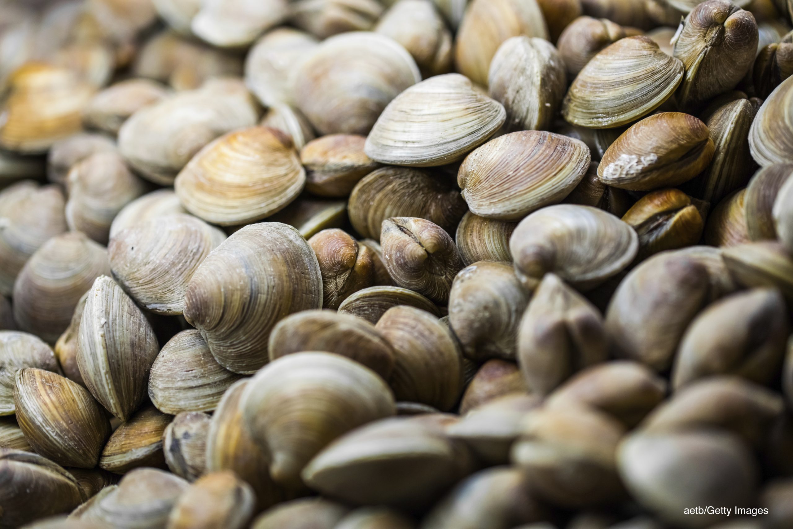 Shellfish Trade Resumes Between U.S. and Europe - Food Quality & Safety
