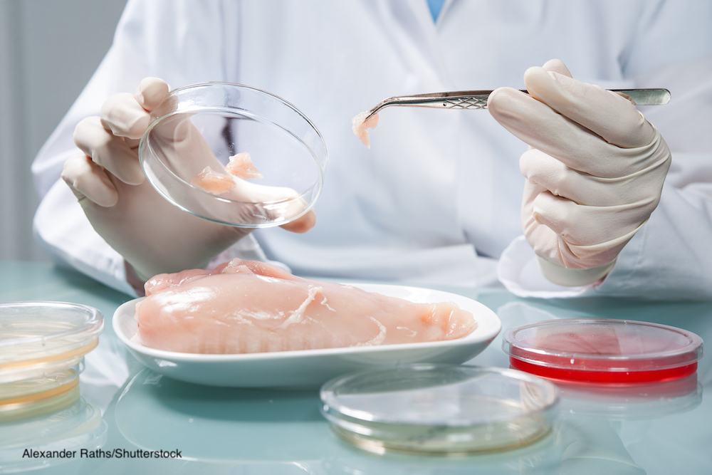 USDA Seeks Comments on Cell-Cultured Meat Labeling