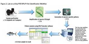 The five-step workflow for performing fish identification using polymerase chain reaction-restriction fragment length polymorphism (PCR-RFLP) on the Agilent Technologies lab-on-a-chip platform.